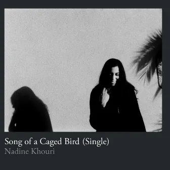 Song of a Caged Bird by Nadine Khouri