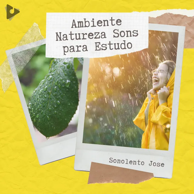 Ambiente Natureza Sons para Estudo