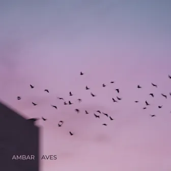 Aves by Ambar