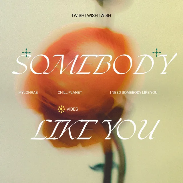 Somebody Like You