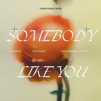 Somebody Like You by Mylonrae