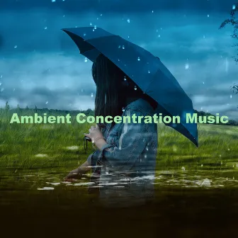 Ambient Concentration Music by Forest Sounds FX