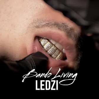 Bando Living by Ledzi