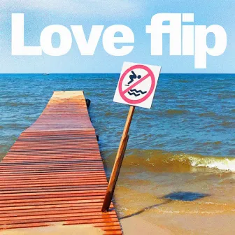 Love Flip by LudiSTELO