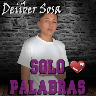 Solo Palabras by Deiiber Sosa