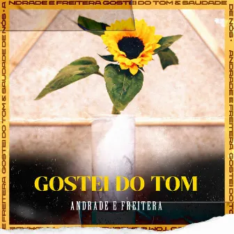 Gostei Do Tom by Andrade