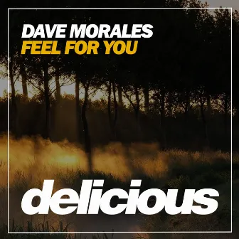 Feel For You by Dave Morales