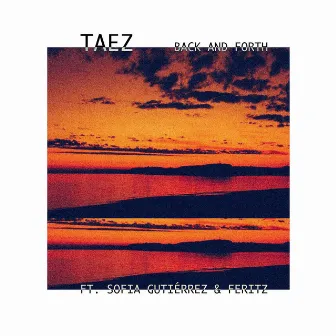 Back and Forth (Radio Edit) by Taez