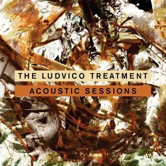 Acoustic Sessions by The Ludvico Treatment