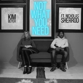 Not What You Need by Kim Beyer