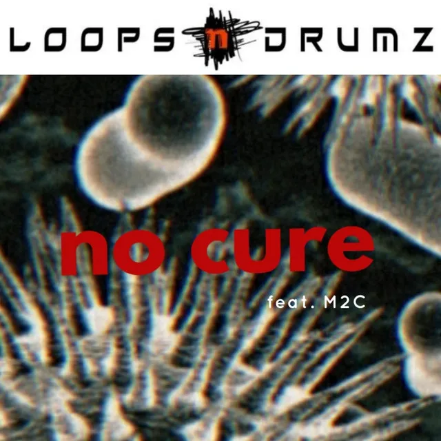 No Cure