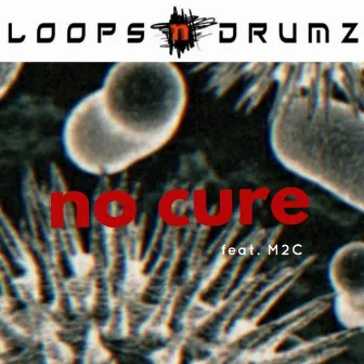 No Cure by Loops n Drumz