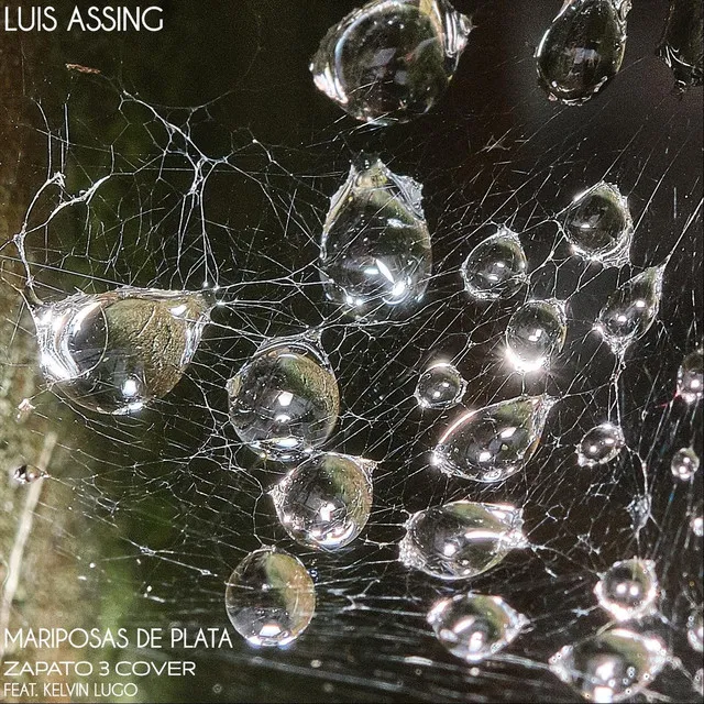 Mariposas De Plata