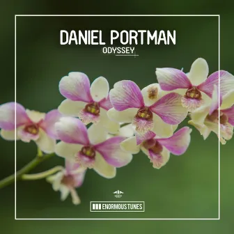 Odyssey by Daniel Portman