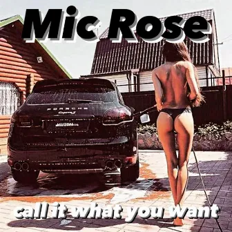 Call it what you want by Mic Rose