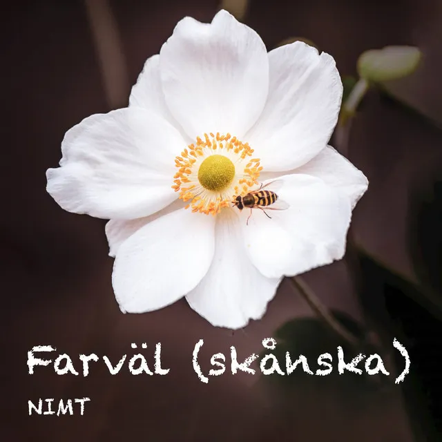 Farväl (skånska)