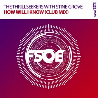 How Will I Know (Club Mix) by Stine Grove