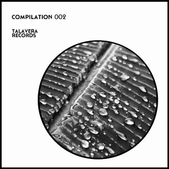 Talavera Records Compilation 002 by Savvas