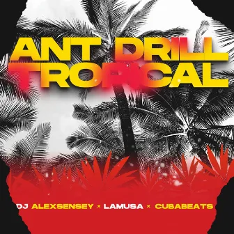 Ant Drill Tropical by DJ AlexSensey