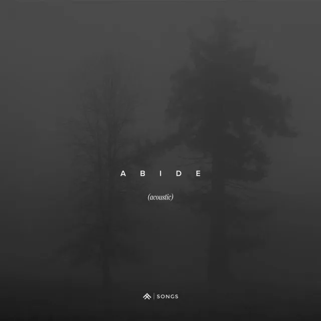 Abide - Acoustic