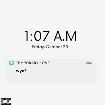 Temporary Love by Kash Kani