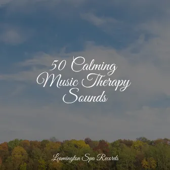 50 Calming Music Therapy Sounds by Tibetan Singing Bowls for Relaxation