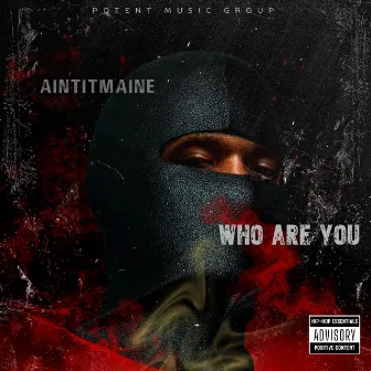 Who Are You by Unknown Artist