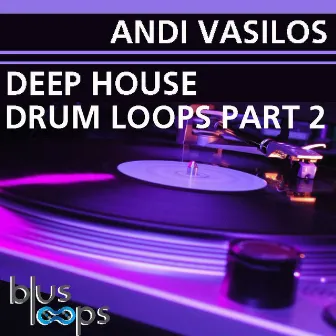 Deep House Drum Loops Part 2 by Andi Vasilos