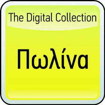 The Digital Collection by Polina