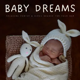 Baby Dreams: Relaxing Forest & Birds Sounds For Your Nap by Birds In The Morning