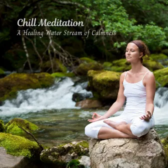 Chill Meditation: A Healing Water Stream of Calmness by 1 Hour Meditation