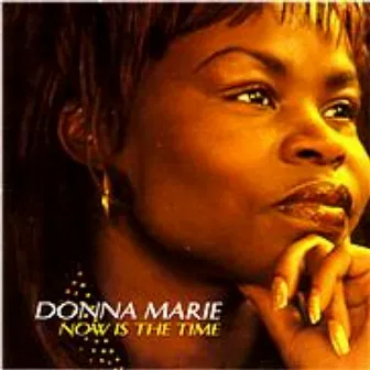 Now Is The Time by Donna Marie