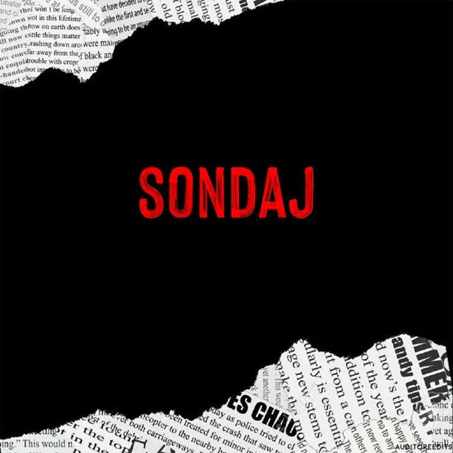 Sondaj