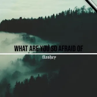 what are you so afraid of by Flashey