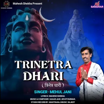 Trinetra Dhari by Mehul Jani