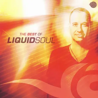 The Best of Liquid Soul by Liquid Soul