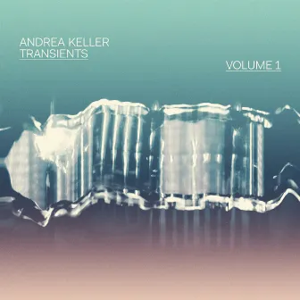 Transients, Vol. 1 by Andrea Keller