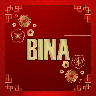 Bina by Shishir Shikdar