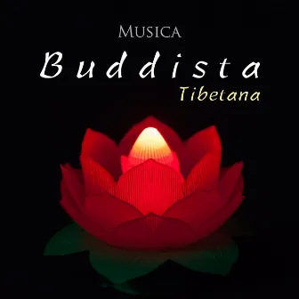 Musica Buddista Tibetana by Saluto al Sole Musica Relax