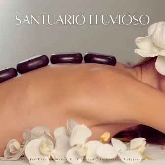 Santuario Lluvioso: Masajes Para La Mente Y El Cuerpo Con Sonidos Relajantes by Masaje Velia