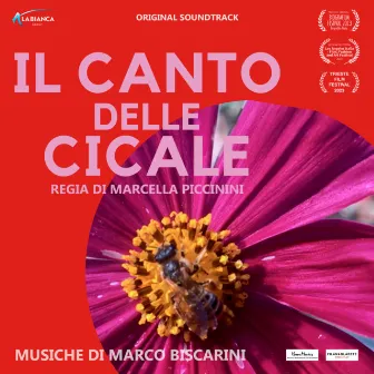 Il canto delle cicale (colonna sonora originale del film) by Marco Biscarini