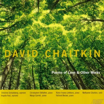 Poems of Love & Other Works by David Chaitkin