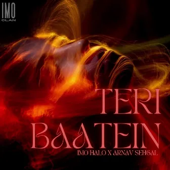 Teri Baatein by Imo Halo