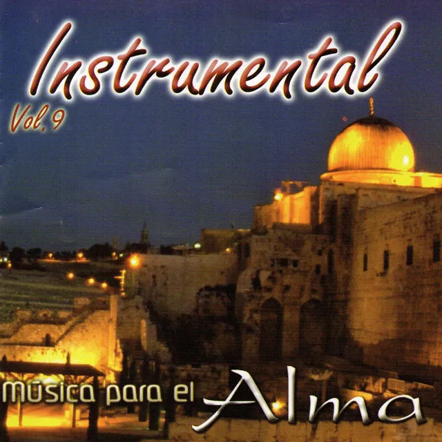 Música para el Alma, Vol. 9 (Instrumental)