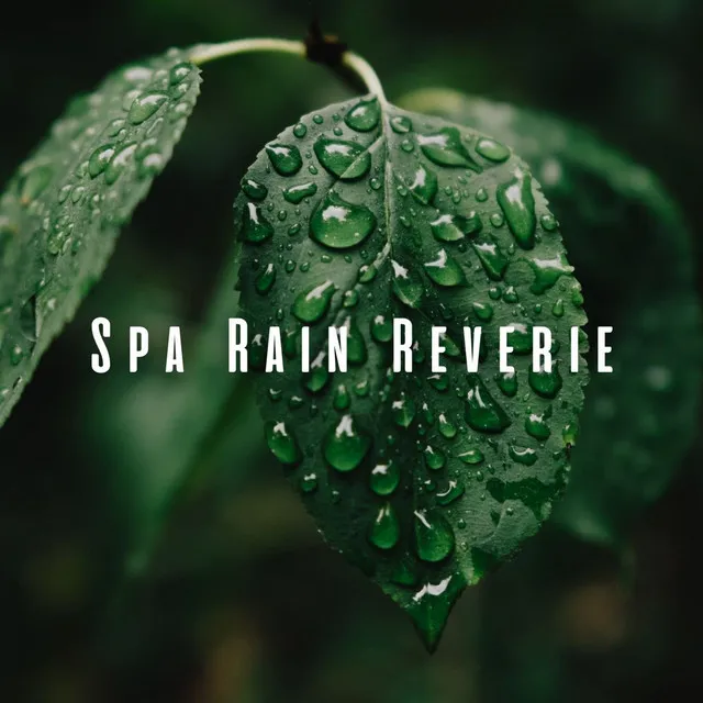 Spa Rain Reverie: Binaural Sounds for Ultimate Serenity