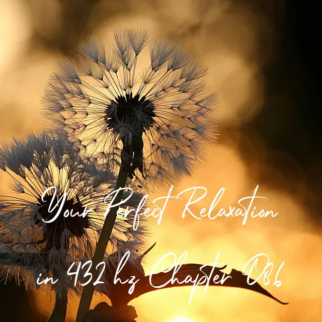 Your Perfect Relaxation in 432 Hz Chapter 086