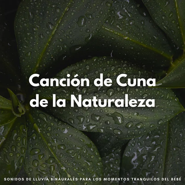 Despertar Gotas De La Naturaleza