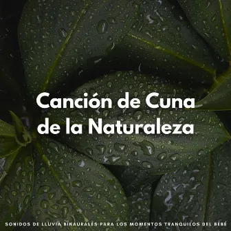 Canción De Cuna De La Naturaleza: Sonidos De Lluvia Binaurales Para Los Momentos Tranquilos Del Bebé by Canciones de cuna mágicas