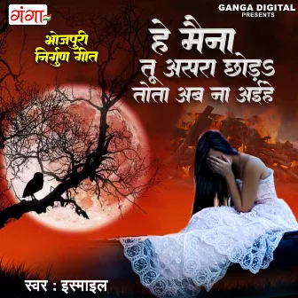 He Maina Tu Ashra Chhoda Tota Ab Na Aiha by Ismail