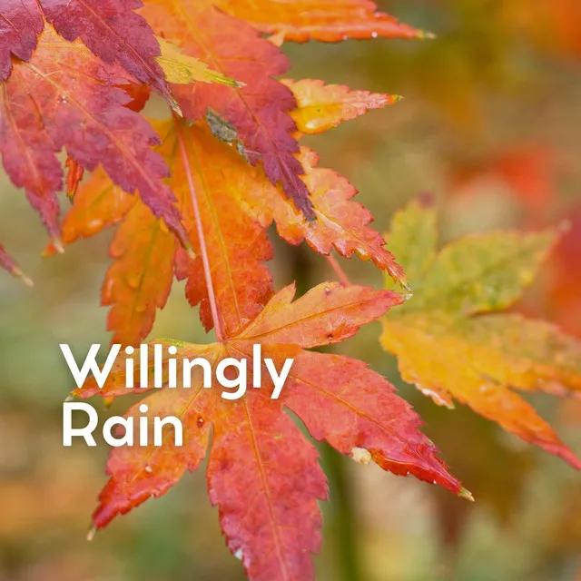 Willingly Rain